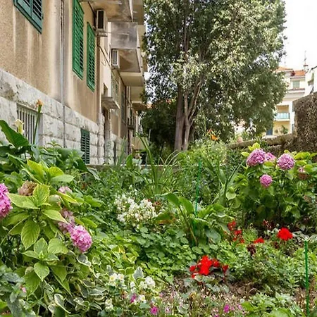 With Wifi - 12154 * سبليت